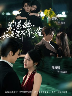 别惹她，她是贺爷掌心雀