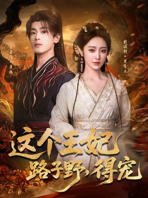 这个王妃路子野，得宠