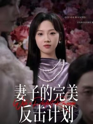 妻子的完美反击计划