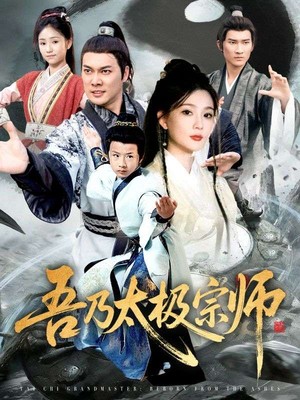 吾乃太极宗师