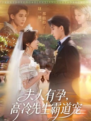 夫人有孕，高冷先生霸道宠