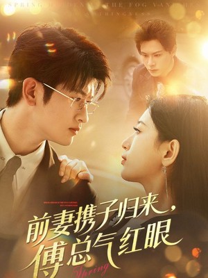 前妻携子归来傅总气红眼