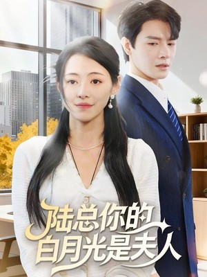 陆总你的白月光是夫人