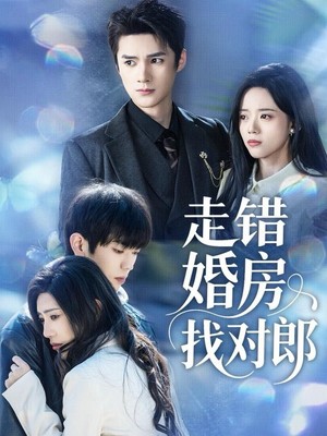 走错婚房找对郎