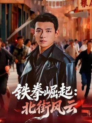 铁拳崛起：北街风云