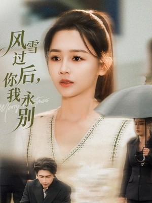 风雪过后你我永别