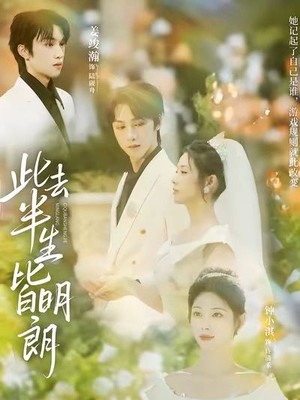 此去半生皆明朗