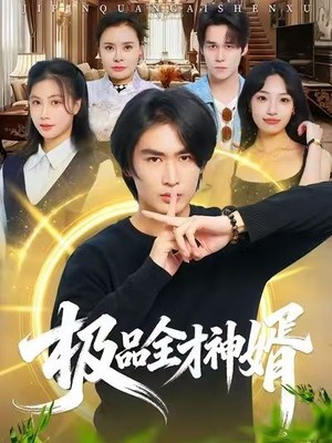 极品全才神婿