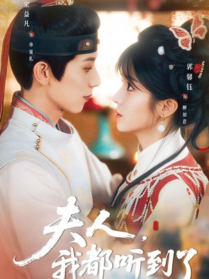 夫人，我都听到了