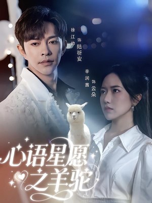 心语星愿之羊驼