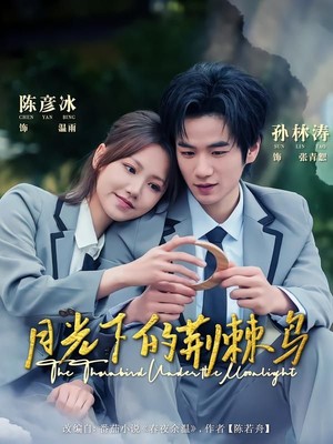 月光下的荆棘鸟