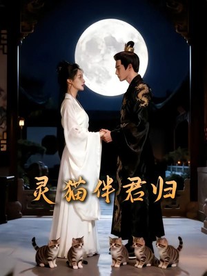 灵猫伴君归AI短剧