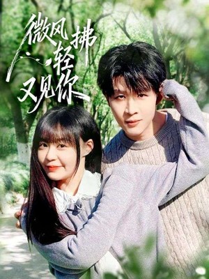 微风轻拂又见你