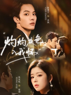 灼灼夜色入我怀