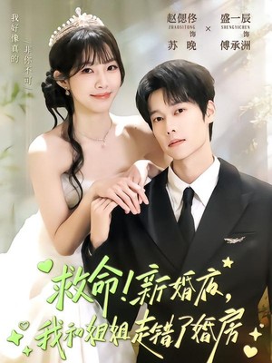 救命！新婚夜，我和姐姐走错了婚房