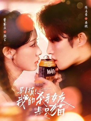 别摸！我的杀手女友是只猫