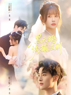 黑天鹅诱捕法册