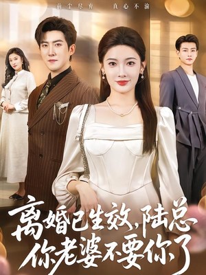 离婚已生效，陆总你老婆不要你了