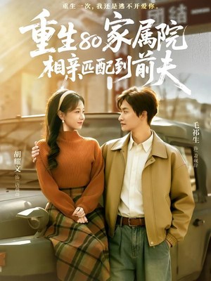 重生80家属院，相亲匹配到前夫