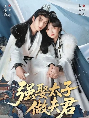 强娶太子做夫君