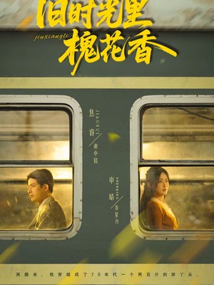 旧时光里槐花香