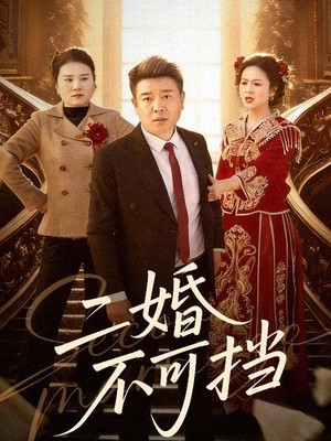 二婚不可挡