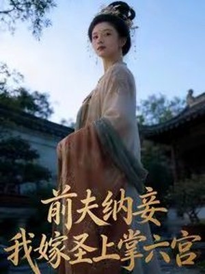 前夫纳妾，我嫁圣上掌六宫AI短剧