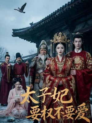 太子妃要权不要爱AI短剧