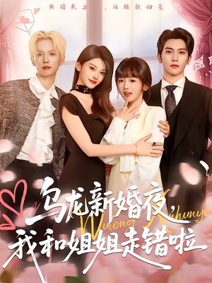 乌龙新婚夜，我和姐姐走错啦