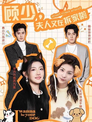 顾少，夫人又在拆家啦