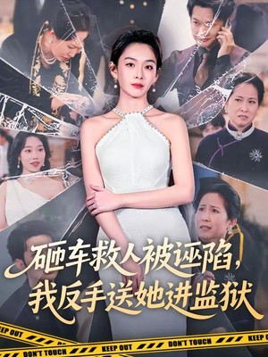 砸车救人被诬陷，我反手送她进监狱