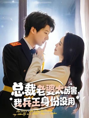 总裁老婆太厉害，我兵王身份没用