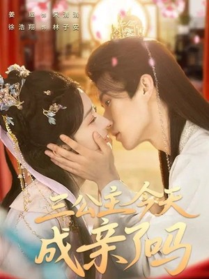 三公主今天成亲了吗