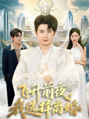 飞升前夜，我选择离婚