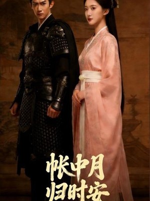 帐中月，归时安