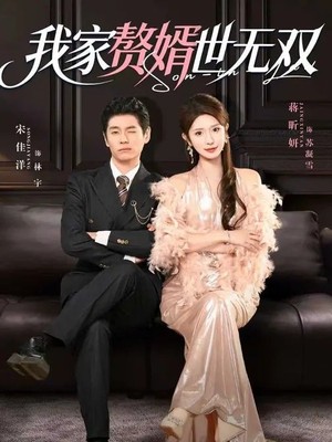 我家赘婿世无双