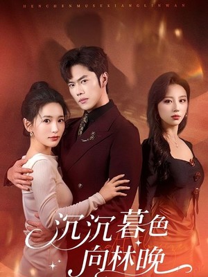 沉沉暮色向林晚