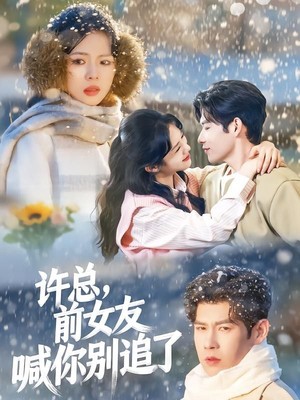 许总，前女友喊你别追了