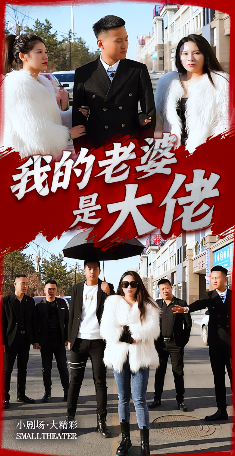 我的老婆是大佬