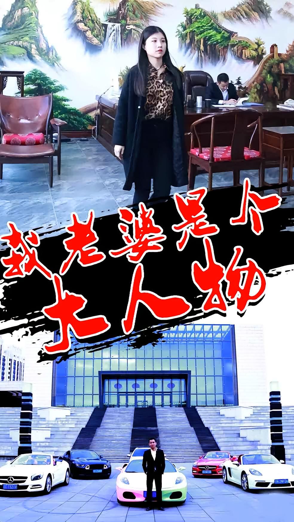 我老婆是个大人物