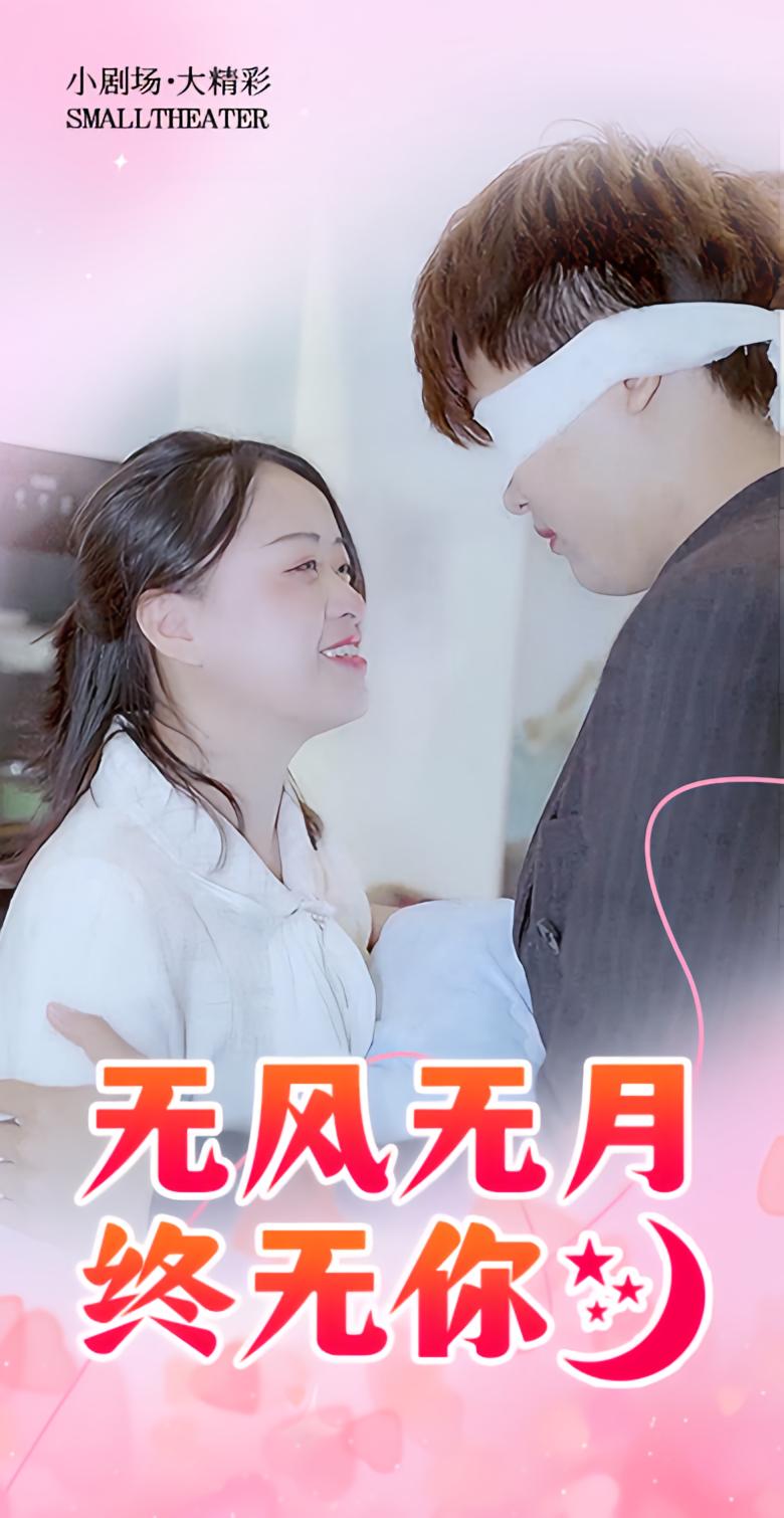 无风无月终无你