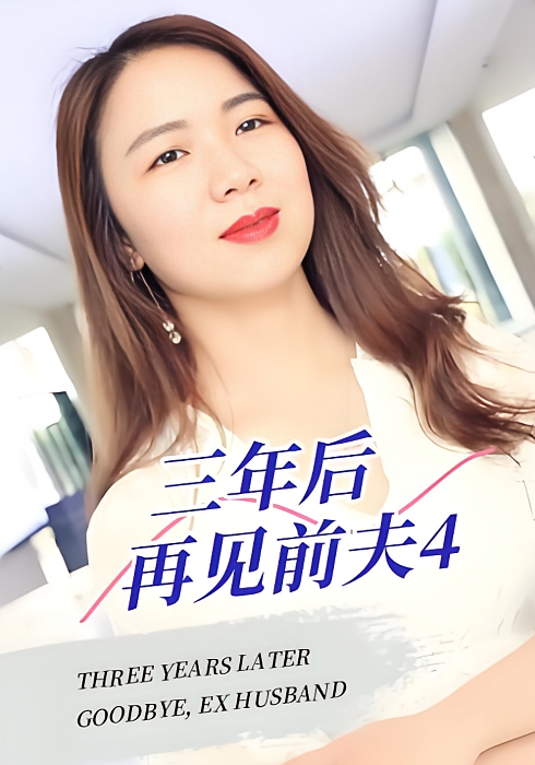 三年后再见前夫4