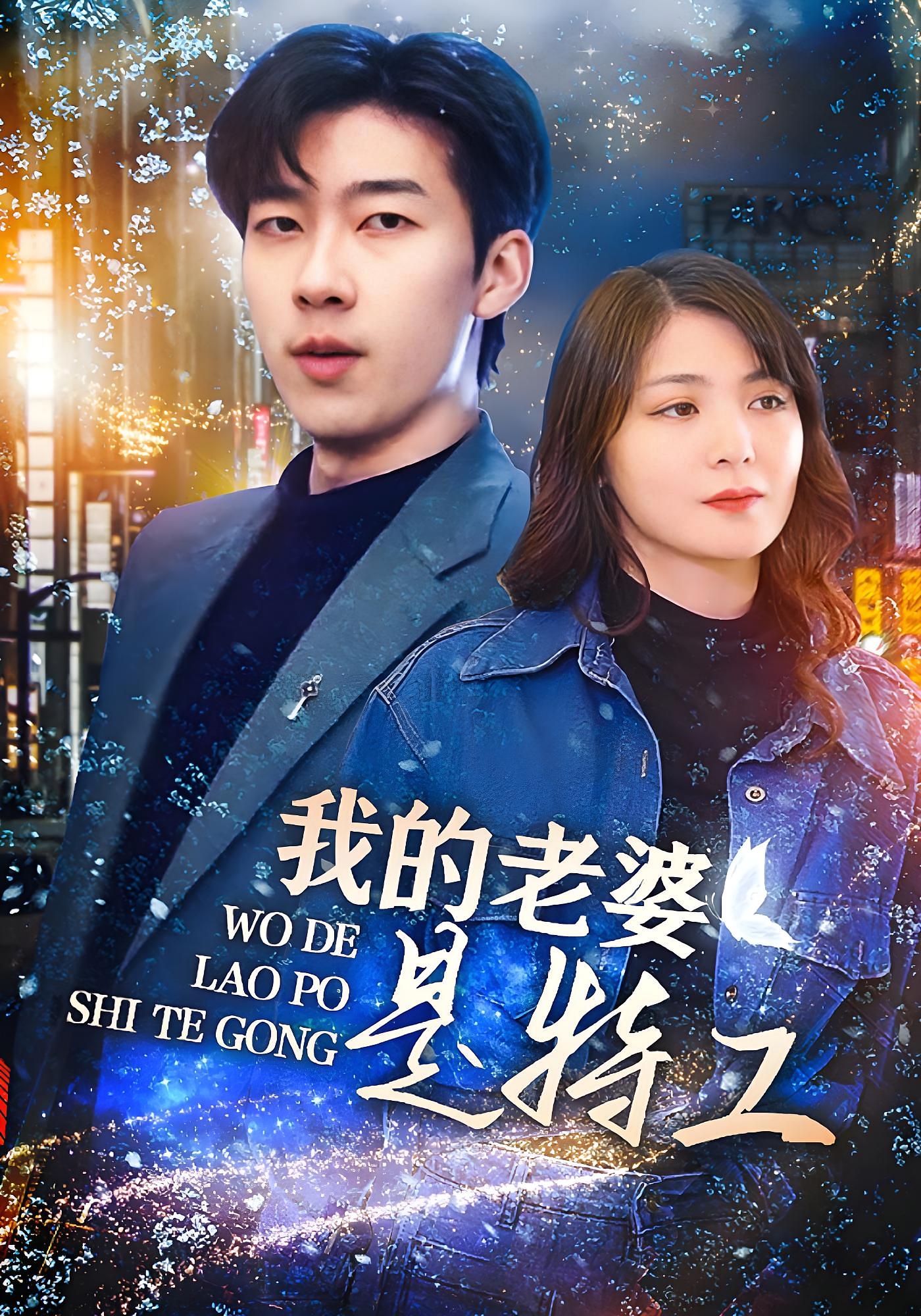 我的老婆是特工