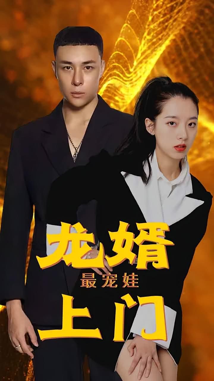 龙婿上门最宠娃