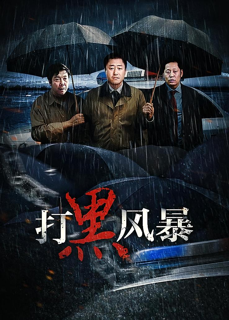 打黑风暴