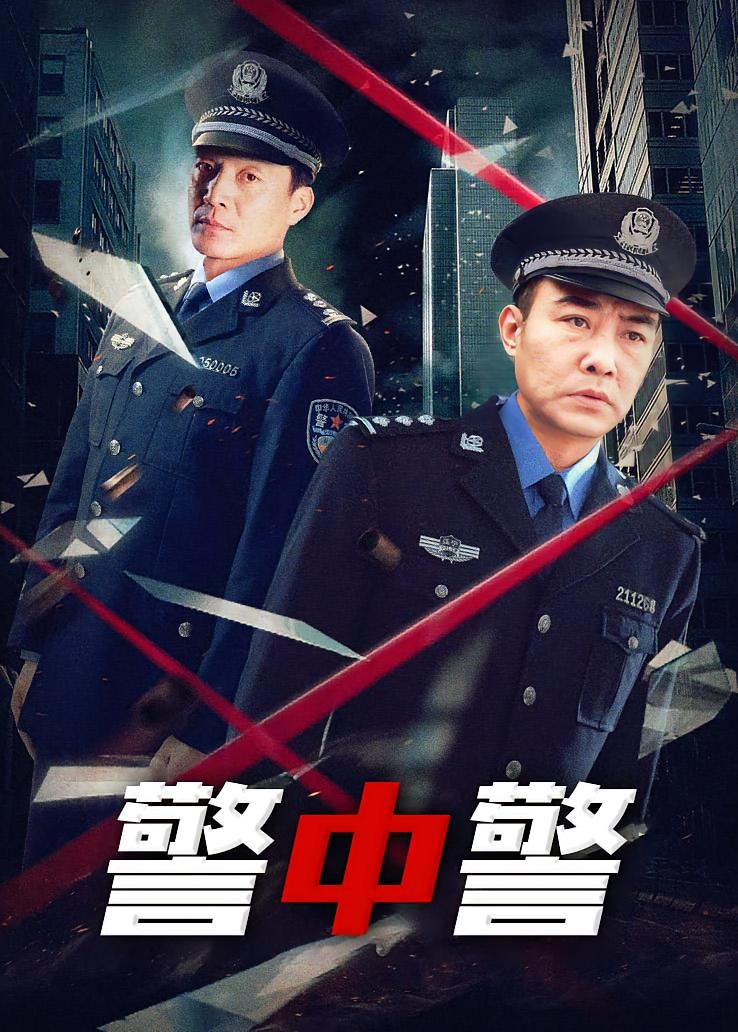警中警
