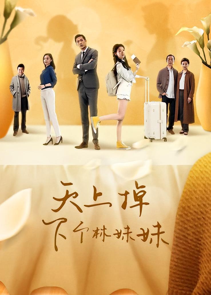 天上掉下个林妹妹