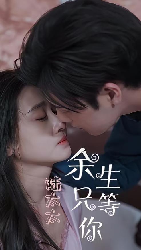 陆太太，余生只等你