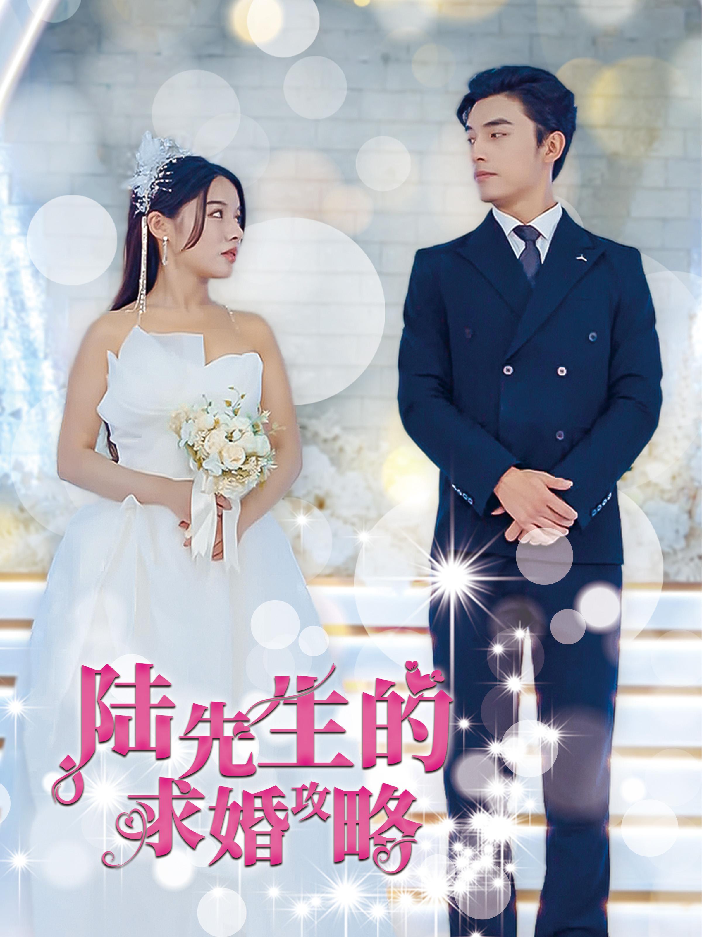 陆先生的求婚攻略