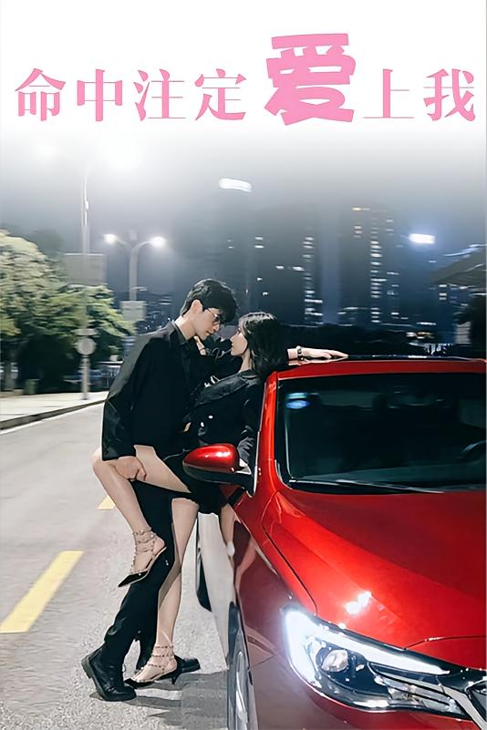 命中注定爱上我